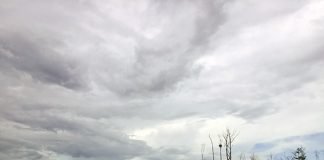 Serunya Perjalanan Dari Berau Airport Kalimarau Ke Pelabuhan Tanjung Batu