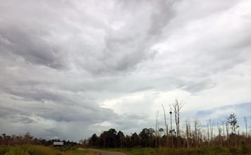 Serunya Perjalanan Dari Berau Airport Kalimarau Ke Pelabuhan Tanjung Batu