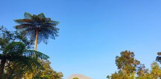 10 Alasan Kenapa Kamu Harus Mendaki Gunung Gede (Part 1) pemandangan dari bawah gunung gede