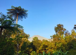 10 Alasan Kenapa Kamu Harus Mendaki Gunung Gede (Part 1) pemandangan dari bawah gunung gede