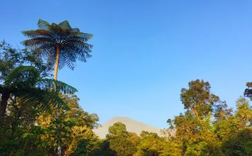 10 Alasan Kenapa Kamu Harus Mendaki Gunung Gede (Part 1) pemandangan dari bawah gunung gede