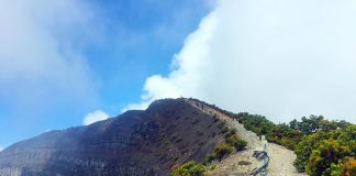 10 Alasan Kenapa Kamu Harus Mendaki Gunung Gede (Part 2) puncak gunung gede